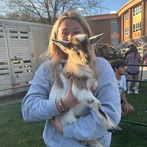 Meet your Posher, Allison